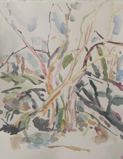 Watercolor painting "Tree Study 0321"