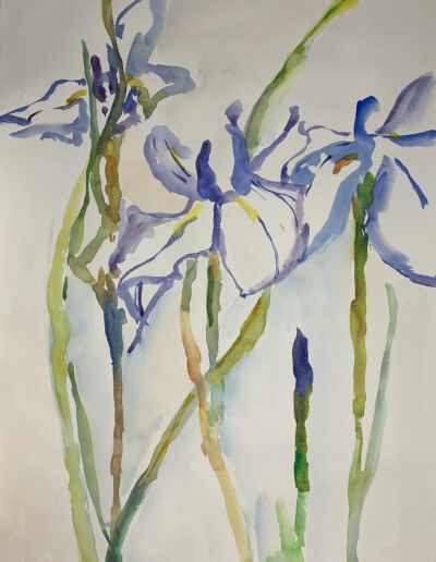 Watercolor Painting "Irises 03"